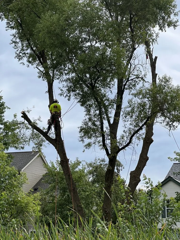 Trusted landscape installation experts serving Menomonee Falls, WI - Red Pine Tree and Landscaping Services