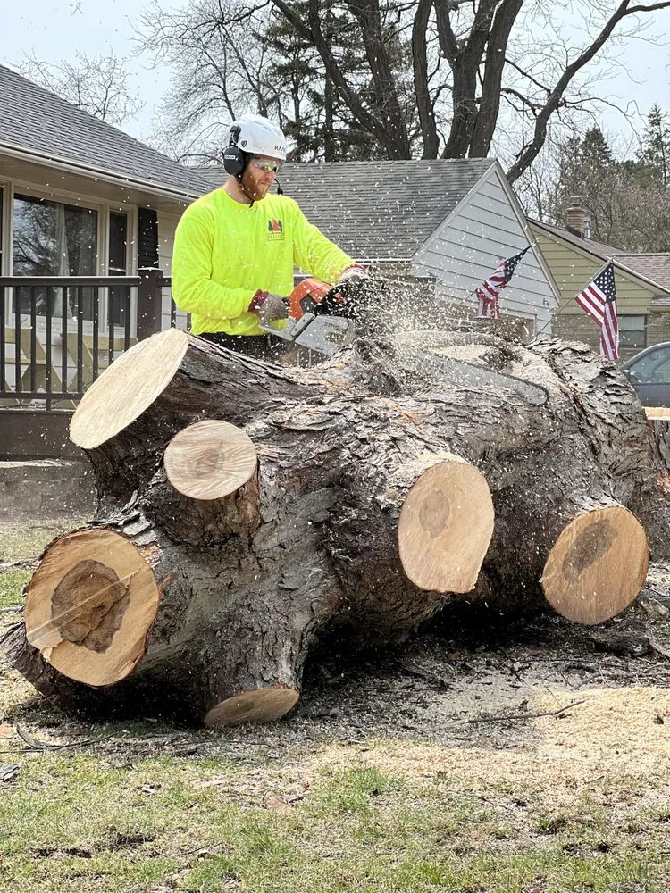 Local yard cleanup service experts serving Menomonee Falls, WI - Red Pine Tree and Landscaping Services