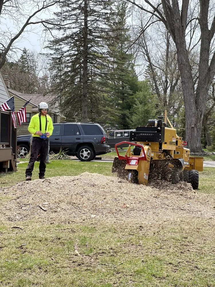 Expert yard maintenance in Menomonee Falls, WI - Red Pine Tree and Landscaping Services