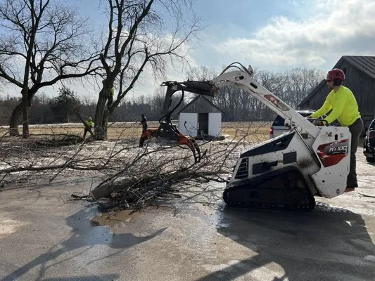 Red Pine Tree and Landscaping Services