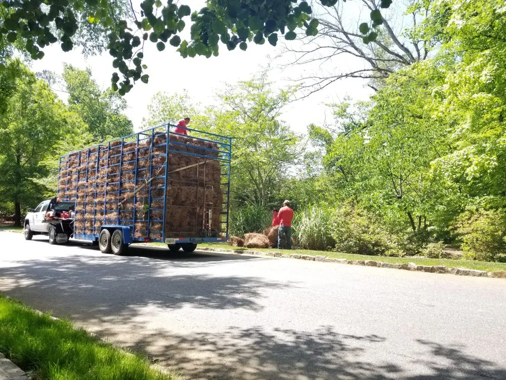 Reliable lawn care service for residential properties in Marietta, GA by Red Pinestraw