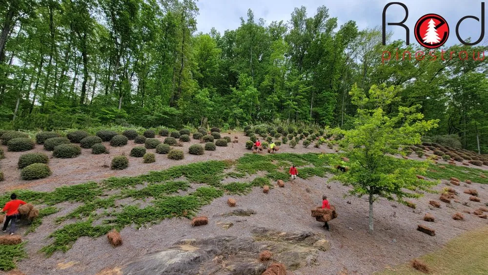 Expert lawn care service near you across Marietta, GA - Red Pinestraw