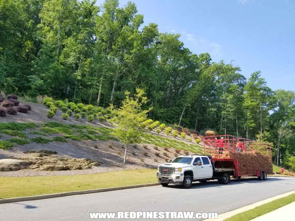 Custom landscape installation experts serving Norcross, GA - Red Pinestraw
