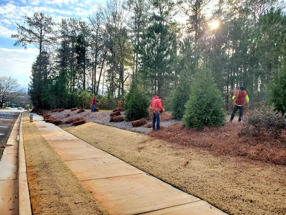 Expert lawn mowing service in Norcross, GA - Red Pinestraw