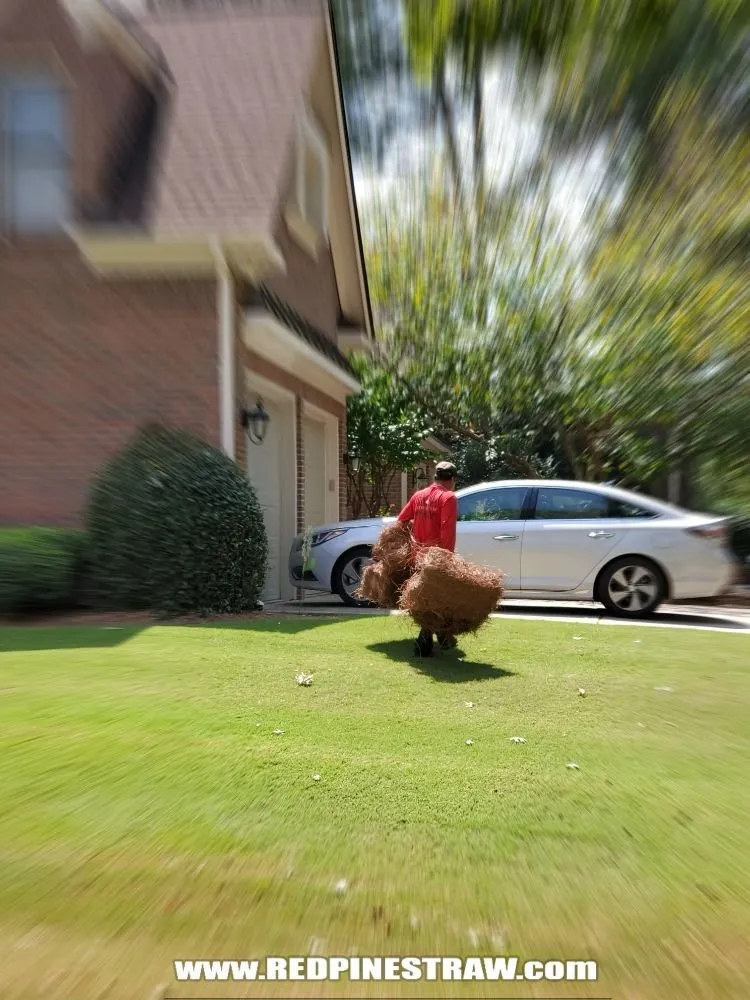 Custom outdoor landscaping in Norcross, GA by Red Pinestraw