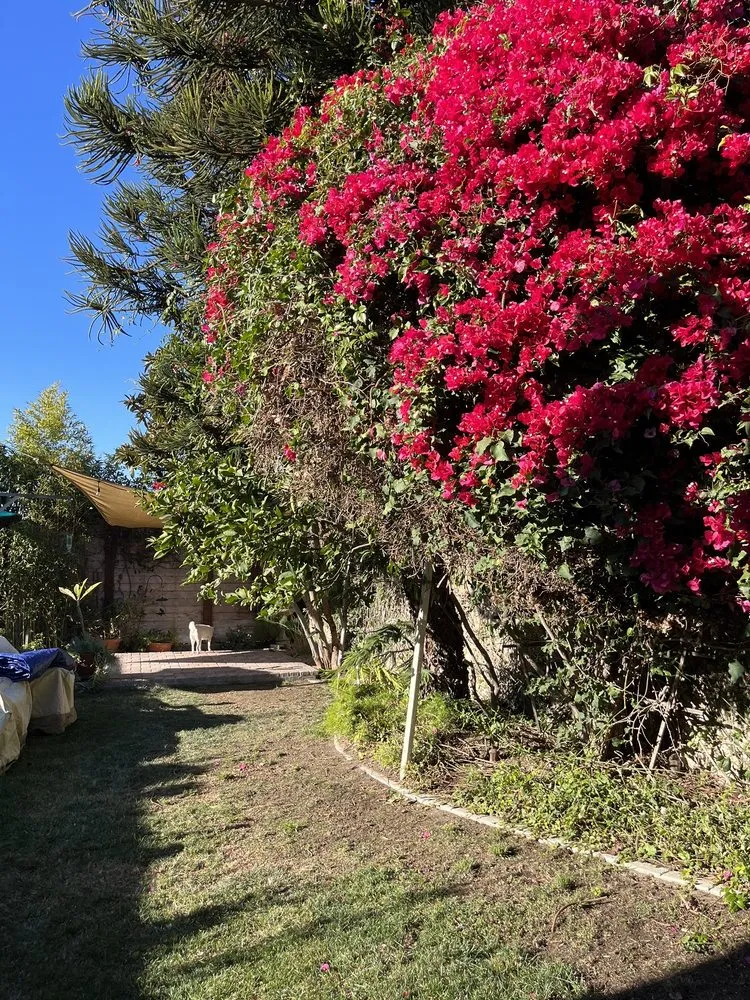 Custom lawn mowing service for homes across Tustin, CA - Red Planet Tree And Landscape Services