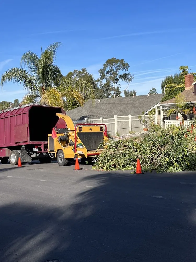 Trusted garden landscaping for beautiful yards in Tustin, CA by Red Planet Tree And Landscape Services