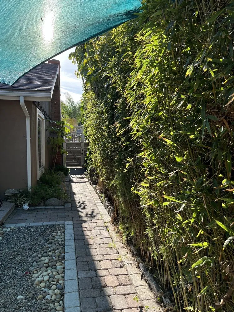 Local outdoor landscaping in Tustin, CA by Red Planet Tree And Landscape Services