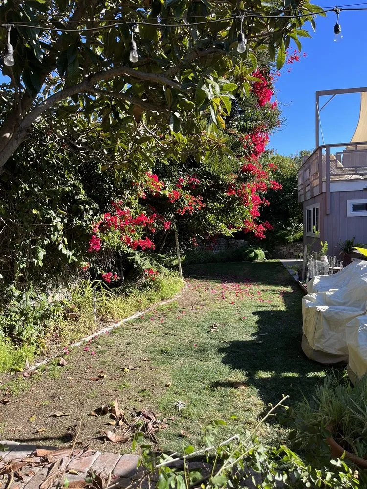 Expert residential landscaping experts serving Tustin, CA - Red Planet Tree And Landscape Services