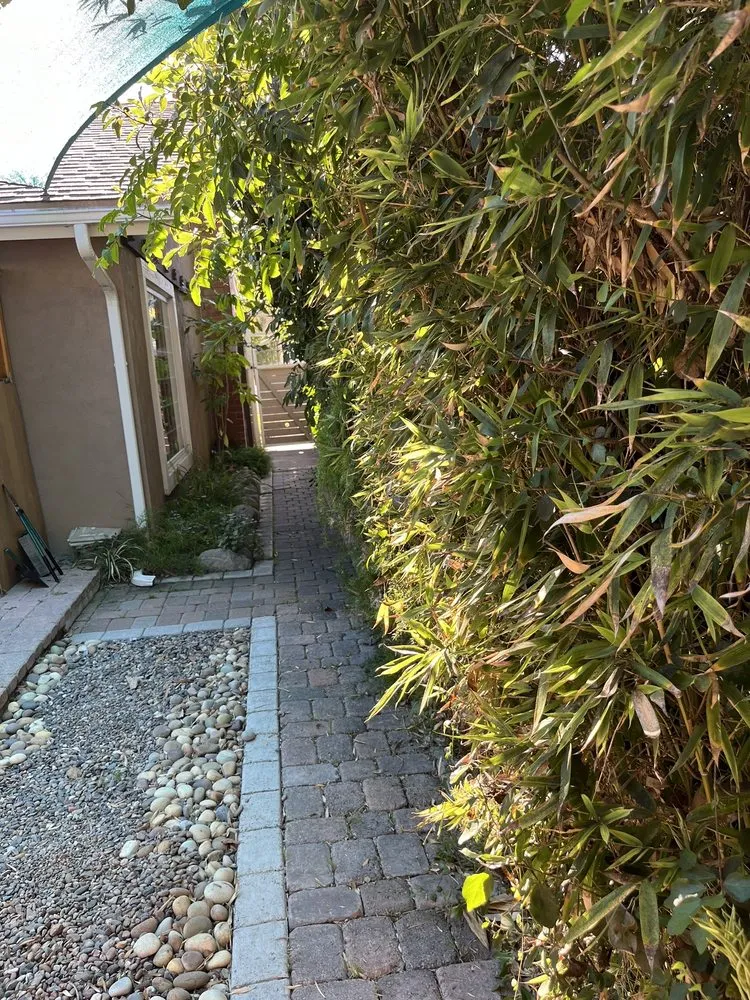 Custom landscaping services for year-round maintenance in Tustin, CA by Red Planet Tree And Landscape Services