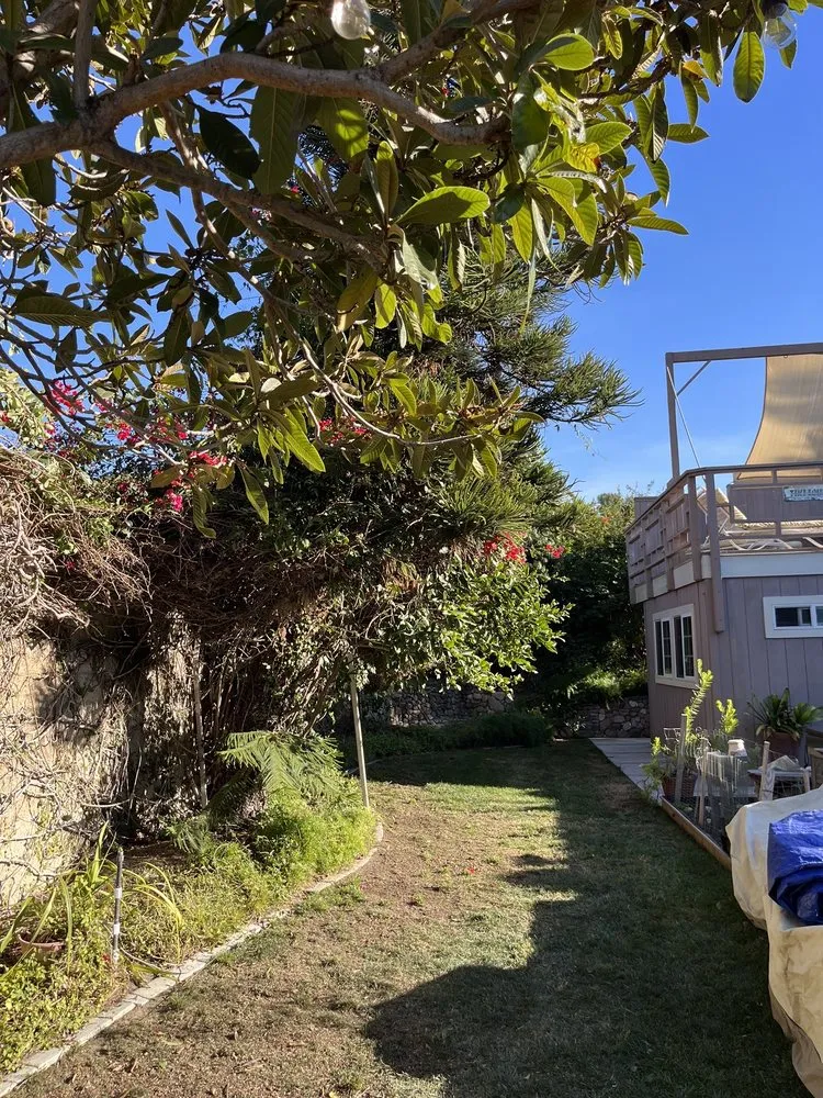 Top-rated lawn care service in Tustin, CA by Red Planet Tree And Landscape Services