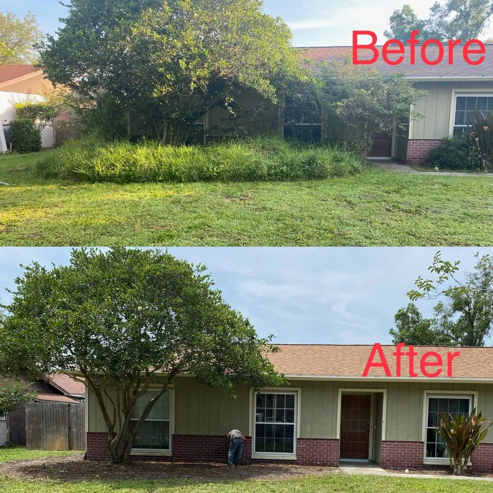 Affordable lawn mowing service experts serving Tampa, FL - Red Rhino Property Services