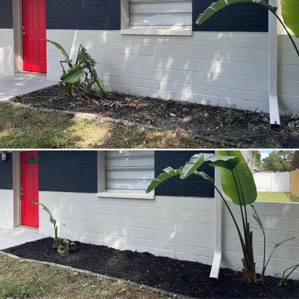 Reliable landscaping services experts serving Tampa, FL - Red Rhino Property Services