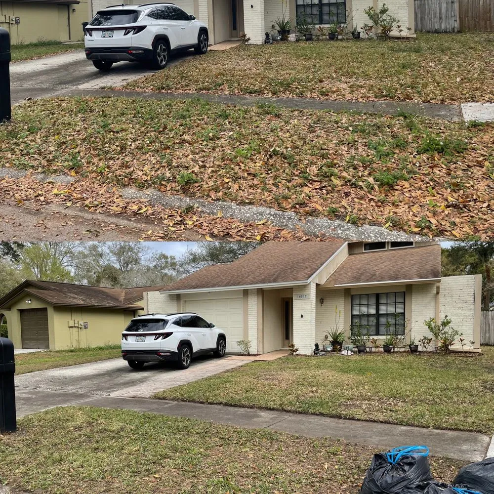 Expert landscape design experts serving Tampa, FL - Red Rhino Property Services