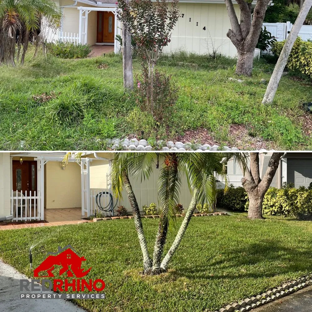 Local lawn care service experts serving Tampa, FL - Red Rhino Property Services