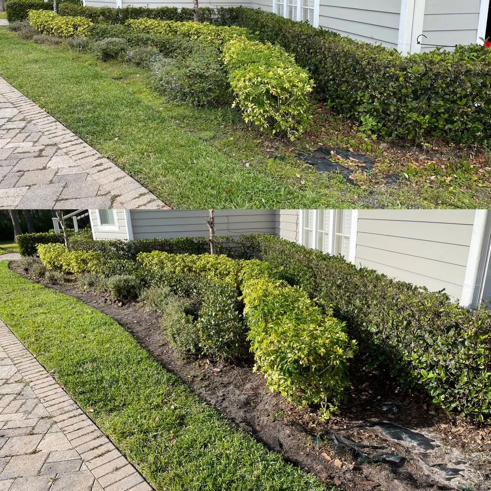 Top-rated yard maintenance in Tampa, FL by Red Rhino Property Services