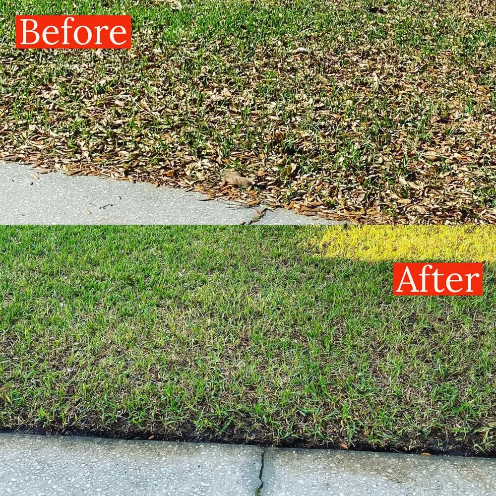 Reliable yard cleanup service near you in Tampa, FL by Red Rhino Property Services