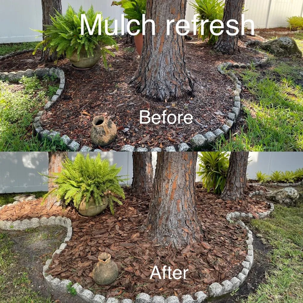 Top-rated lawn mowing service for year-round maintenance across Tampa, FL - Red Rhino Property Services