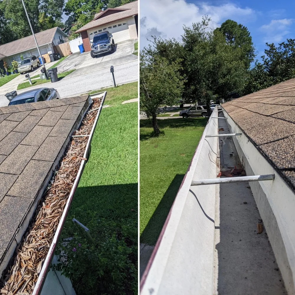 Affordable landscape installation for outdoor upgrades in Tampa, FL by Red Rhino Property Services