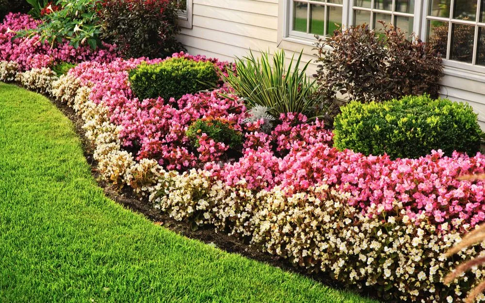Expert lawn care service for homes across Gainesville, TX - Red River Landscaping