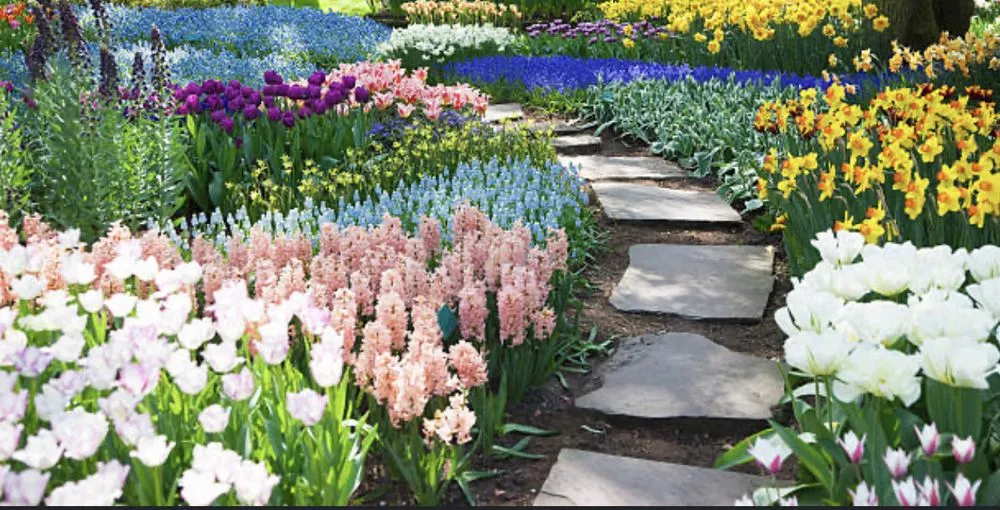 Expert yard maintenance for outdoor upgrades across Gainesville, TX - Red River Landscaping