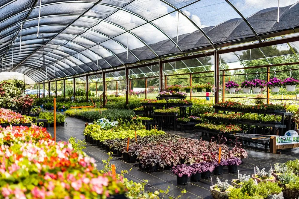 Trusted landscape installation for outdoor upgrades across Paris, TX - Red River Outdoor Living