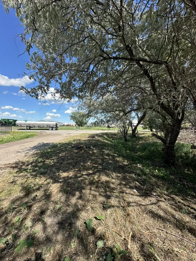 Top-rated yard cleanup service near you across Grand Forks, ND - Red River Outdoor Services