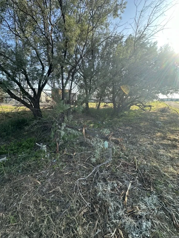 Expert lawn care service in Grand Forks, ND by Red River Outdoor Services