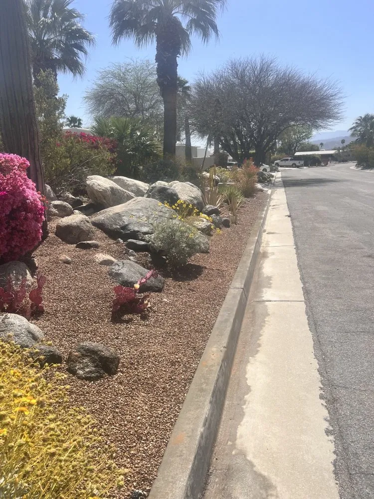 Custom garden landscaping for outdoor upgrades across Cathedral City, CA - Red Rock Landscaping