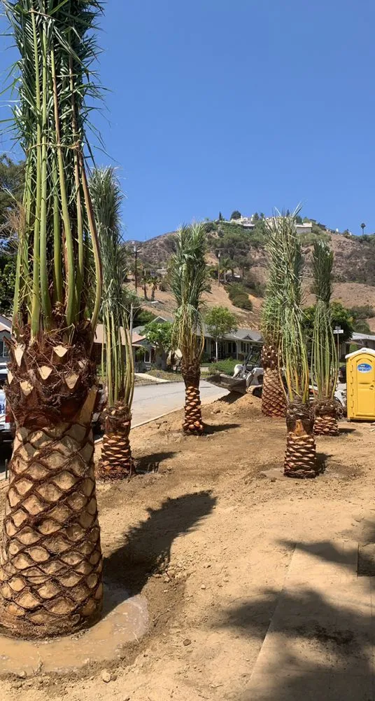 Trusted lawn mowing service for residential properties across Cathedral City, CA - Red Rock Landscaping