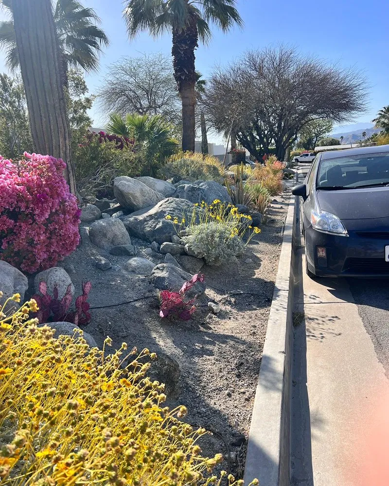 Professional lawn mowing service in Cathedral City, CA - Red Rock Landscaping