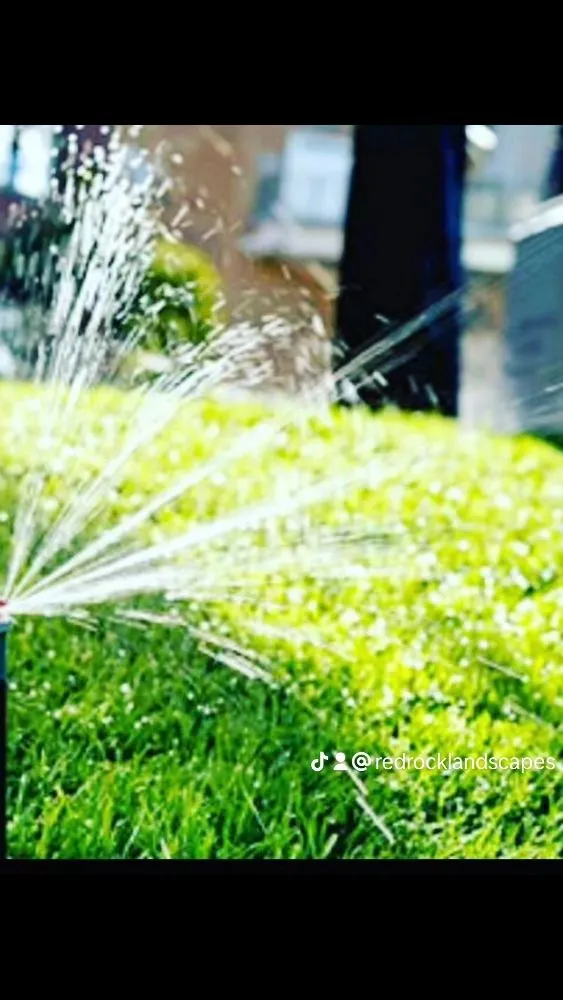 Professional yard maintenance in Goleta, CA - Red Rock Landscaping