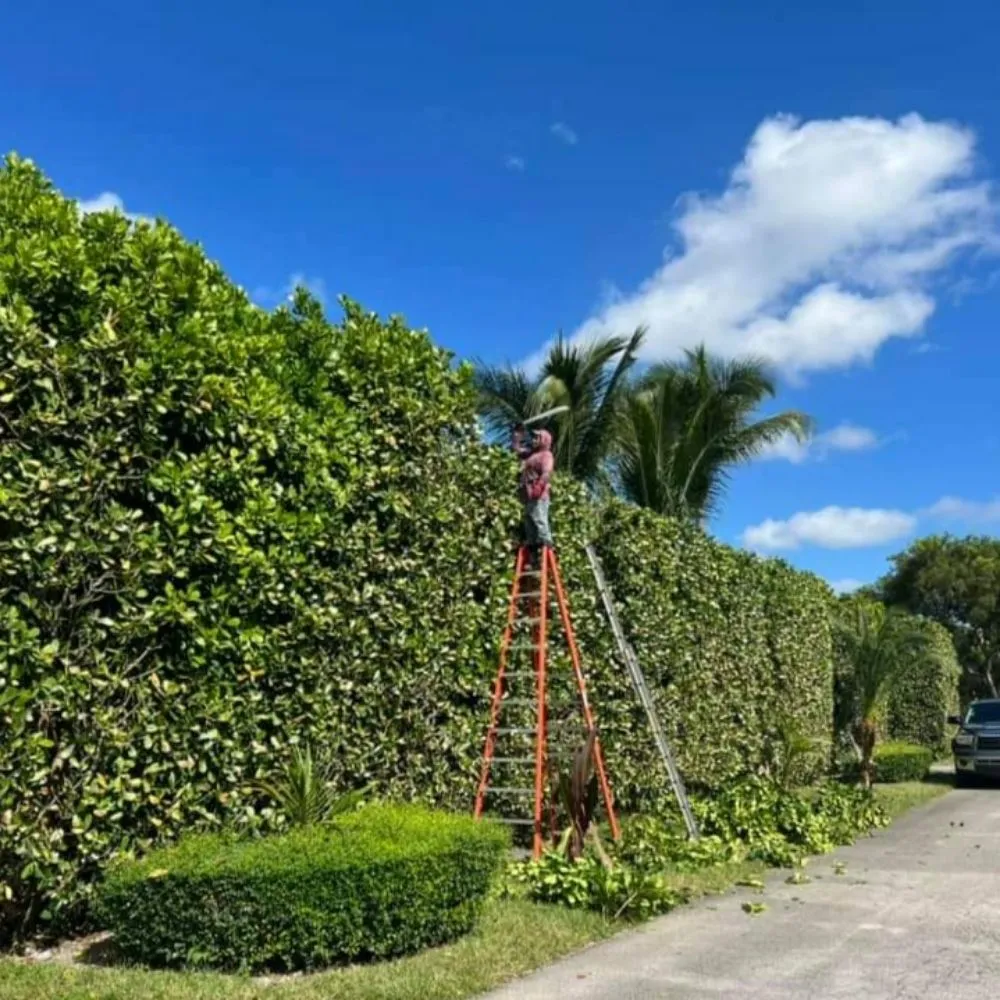 Trusted landscape installation in Goleta, CA by Red Rock Landscaping