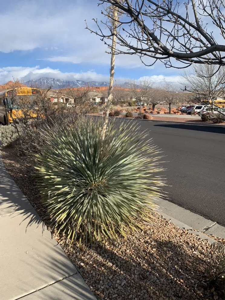 Affordable lawn care service for residential properties in St. George, UT by Red Rock Lawnsmen