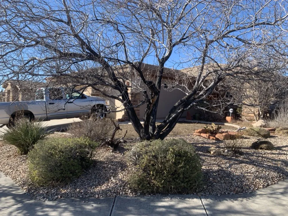 Expert landscaping services for homes in St. George, UT by Red Rock Lawnsmen