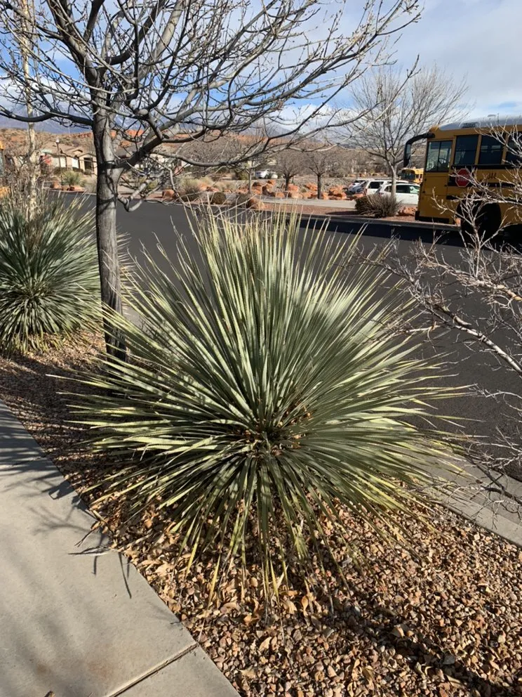 Trusted landscape design for residential properties across St. George, UT - Red Rock Lawnsmen