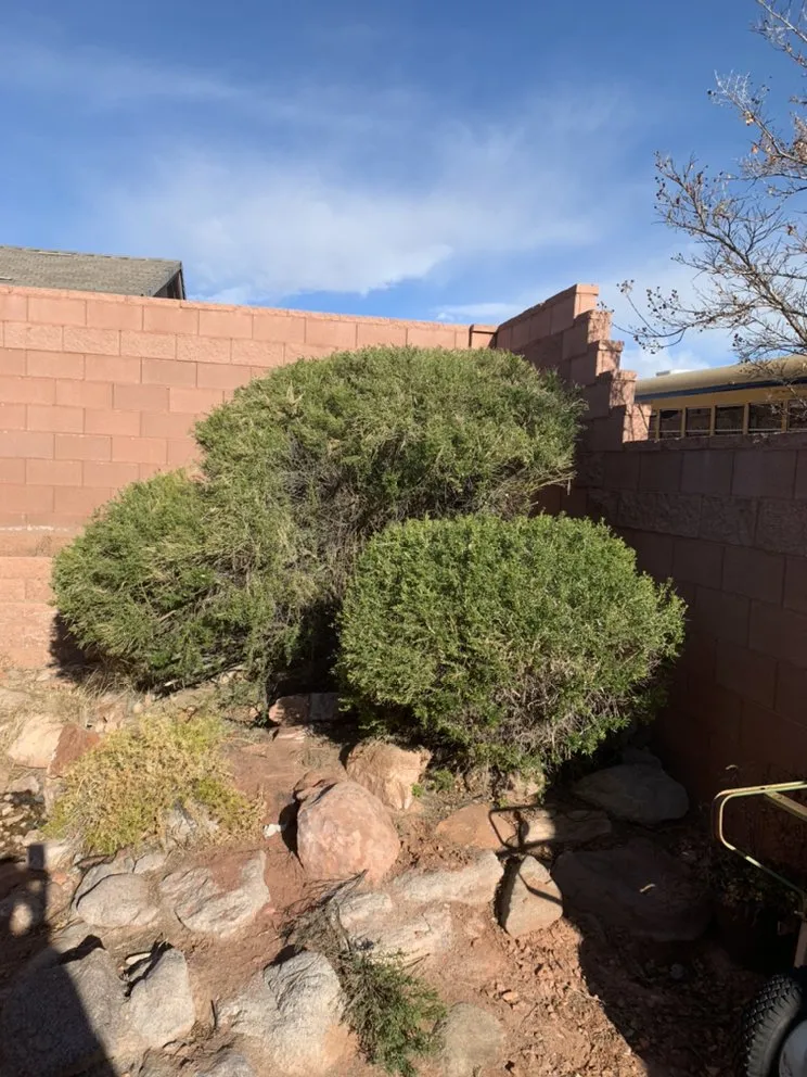 Custom outdoor landscaping experts serving St. George, UT - Red Rock Lawnsmen