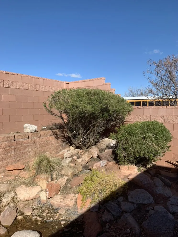 Local landscape installation in St. George, UT - Red Rock Lawnsmen