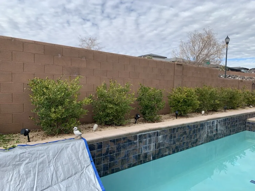 Trusted yard cleanup service experts serving St. George, UT - Red Rock Lawnsmen