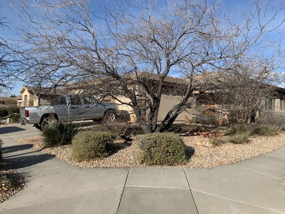 Trusted outdoor landscaping experts serving St. George, UT - Red Rock Lawnsmen