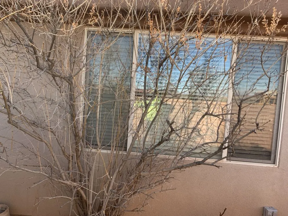 Reliable residential landscaping in St. George, UT by Red Rock Lawnsmen