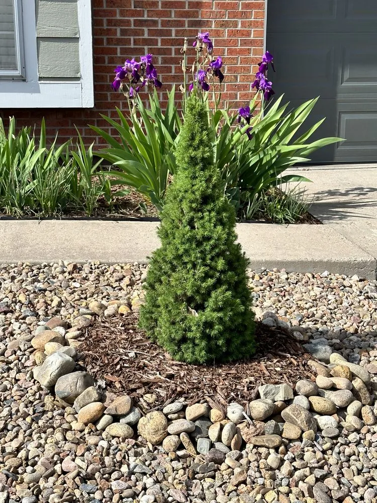 Expert garden landscaping in Thornton, CO - Red Rock Outdoor Living