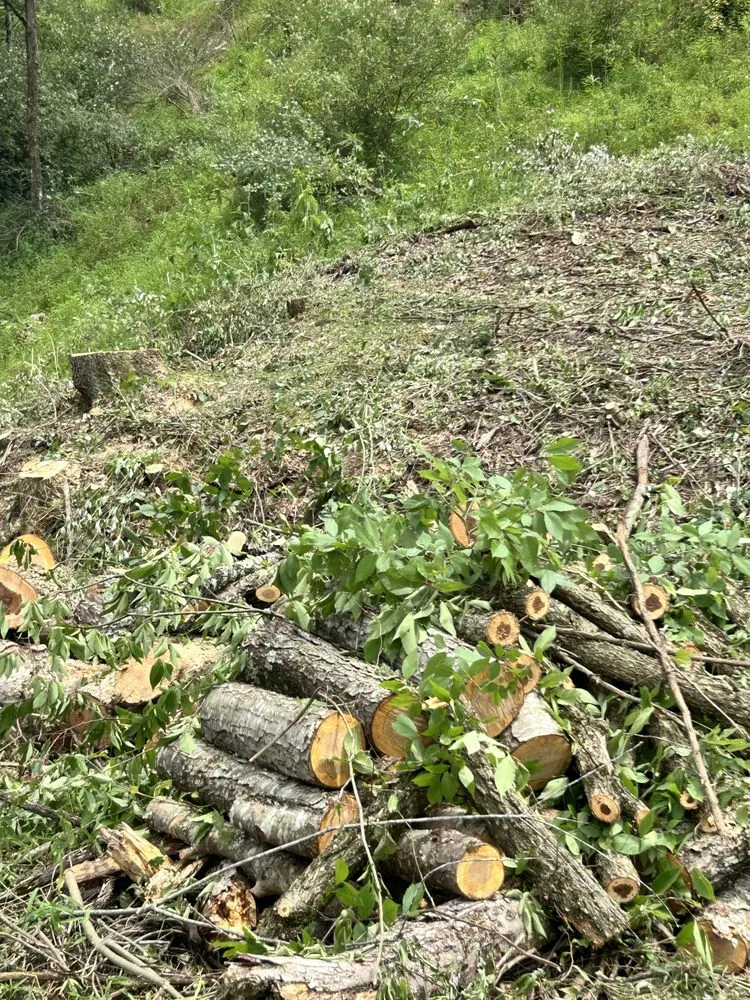 Professional outdoor landscaping in Rowlesburg, WV by Red Rock Tree Service