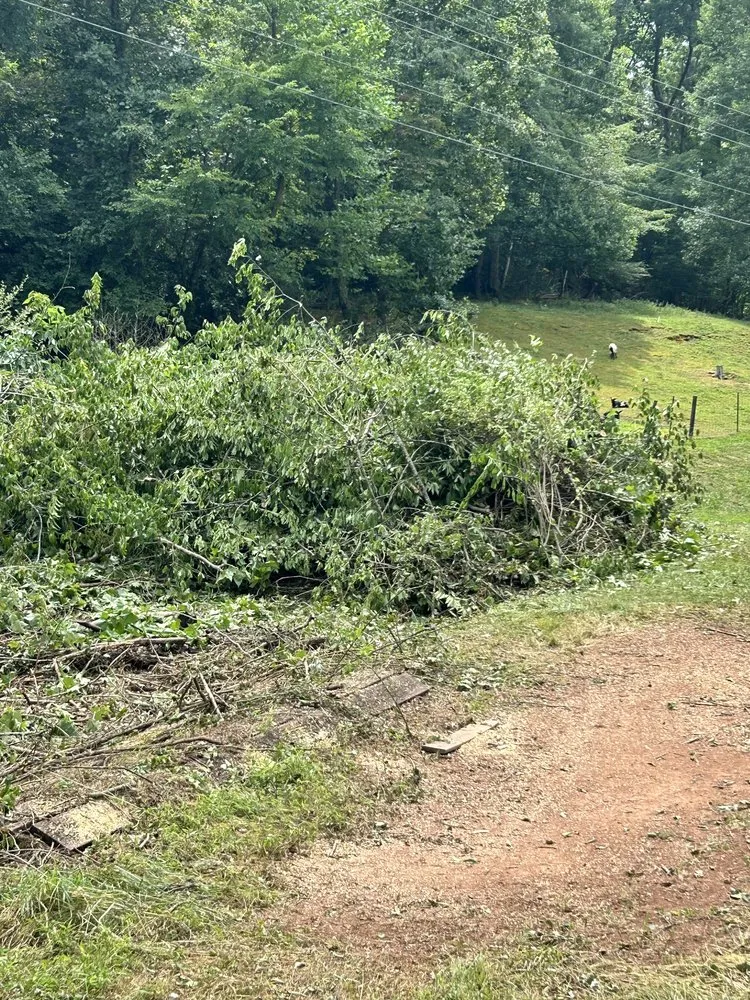 Affordable residential landscaping in Rowlesburg, WV - Red Rock Tree Service