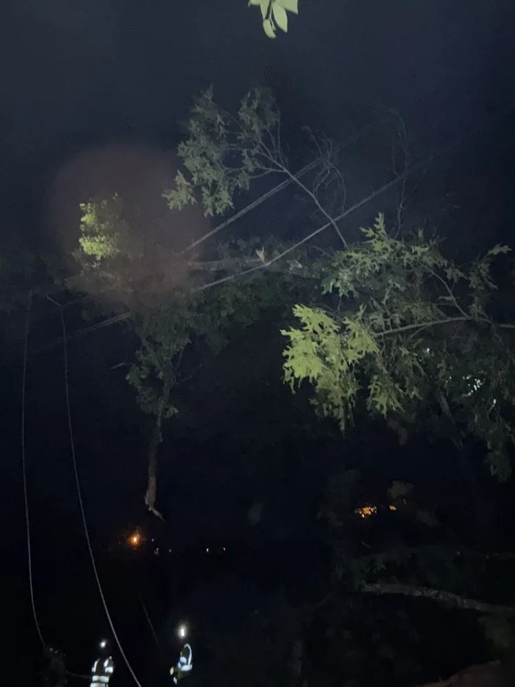 Custom yard maintenance for outdoor upgrades in Rowlesburg, WV by Red Rock Tree Service