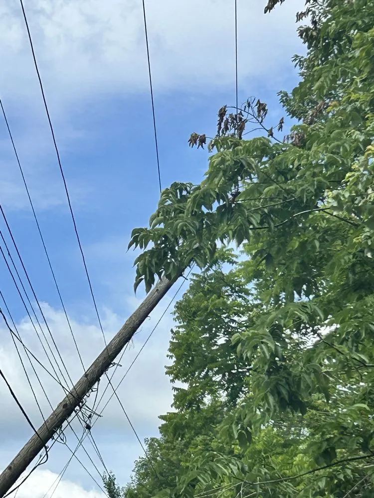 Affordable garden landscaping in Rowlesburg, WV by Red Rock Tree Service