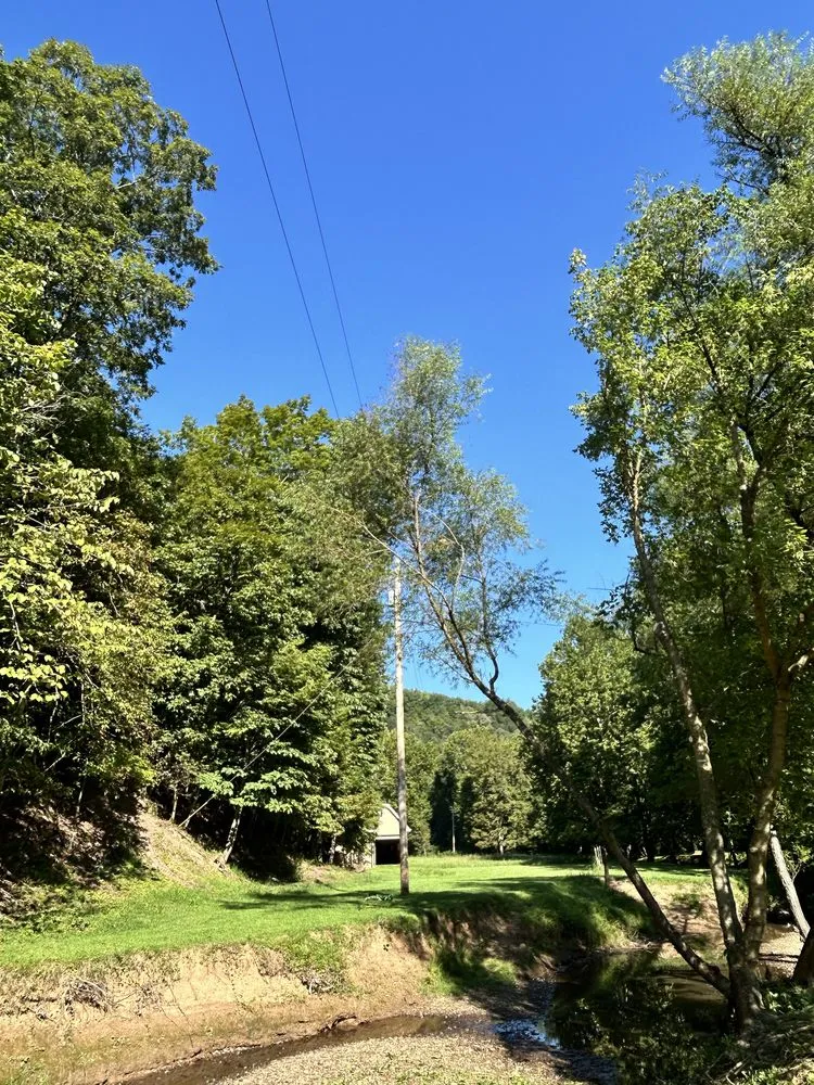 Local residential landscaping experts serving Rowlesburg, WV - Red Rock Tree Service