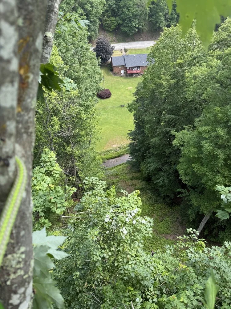 Expert lawn care service for residential properties across Rowlesburg, WV - Red Rock Tree Service