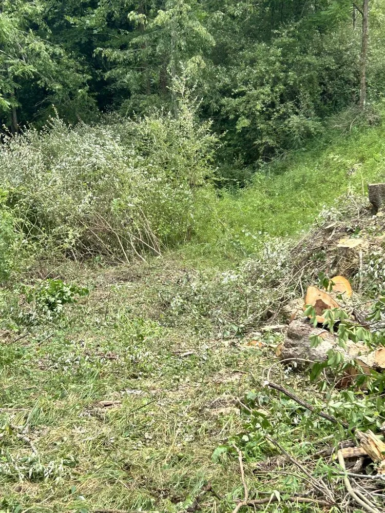 Trusted residential landscaping experts serving Rowlesburg, WV - Red Rock Tree Service