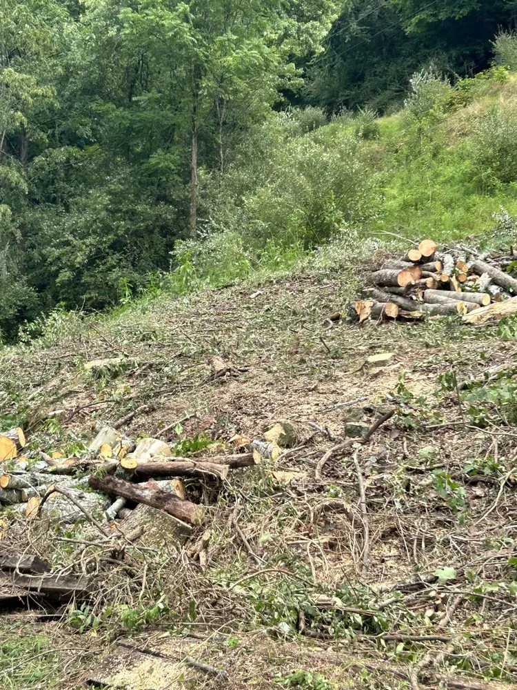 Custom lawn care service in Rowlesburg, WV by Red Rock Tree Service